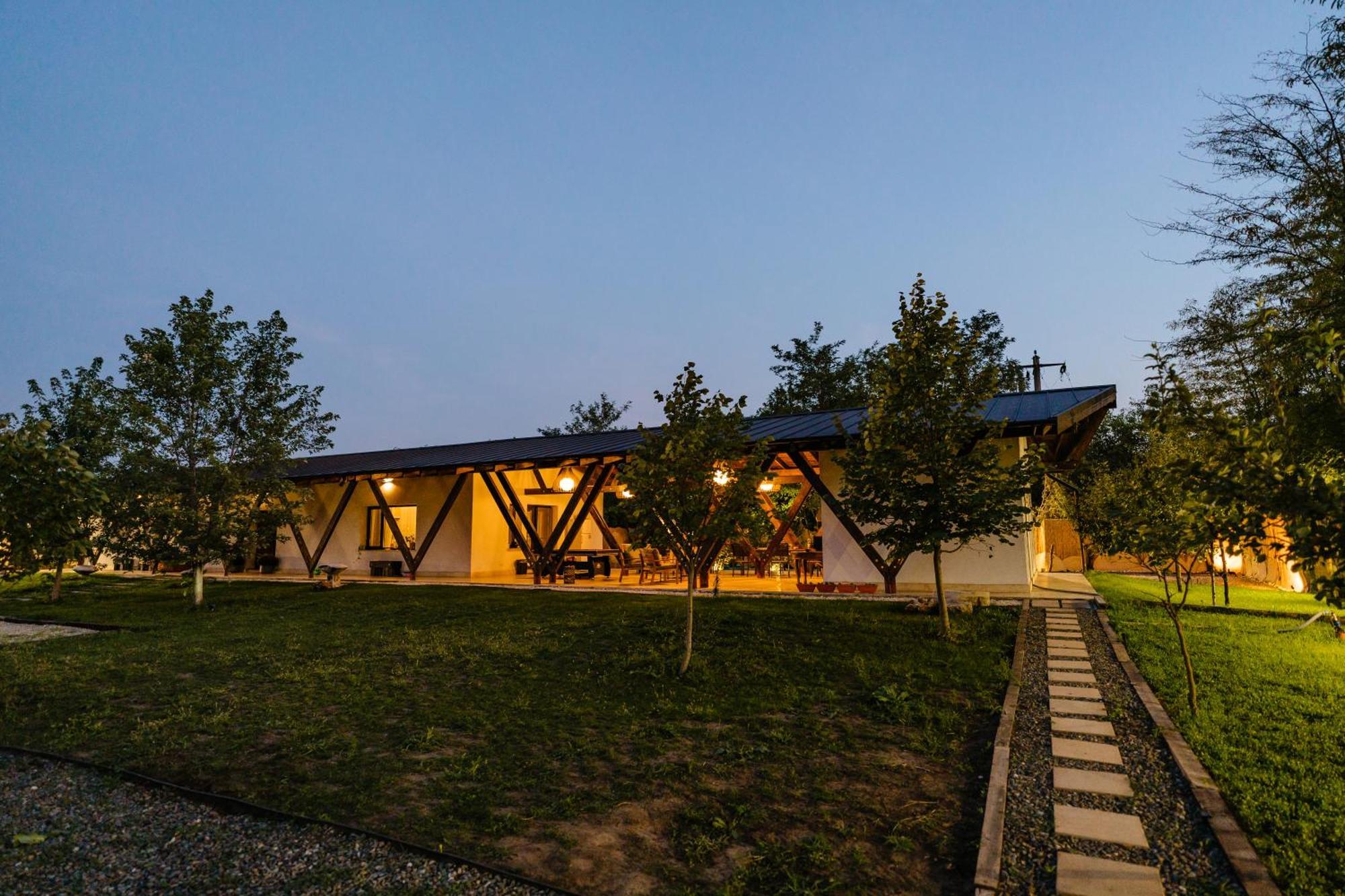 Hotel The Tribe Alpaca Retreat Branesti Exterior foto